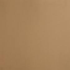 Sand color