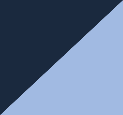 海軍迷彩